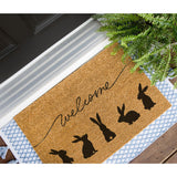Easter Bunny Welcome Doormat, Spring Doormat, Easter Welcome Mat, Cute Door Mat, Spring Porch Decor, Spring Welcome Mats, Peter Rabbit Mat